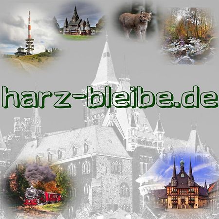 Harz-Bleibe Wernigerode Διαμέρισμα Εξωτερικό φωτογραφία